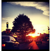 Amy Bandanza's photo