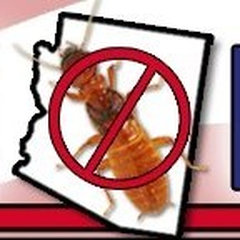 Action Termite Control LLC
