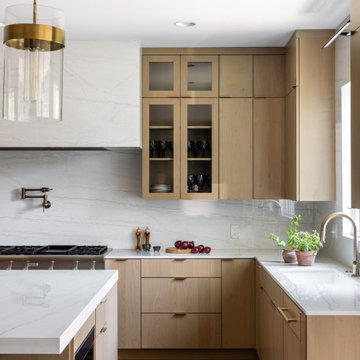 Vienna Contemporary Kitchen