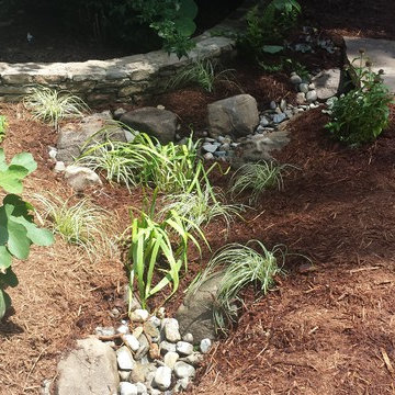 Pet-Char Stormwater Solution