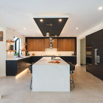 Full House Renovation- Extreme Black