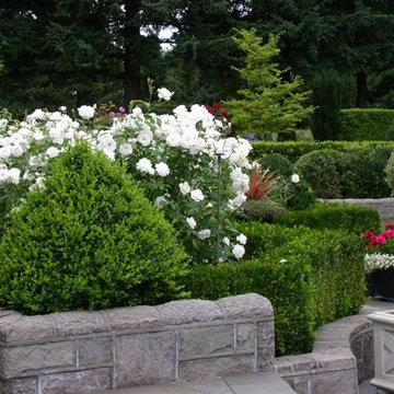 Expert Hand Pruning