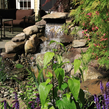 Pondless Waterfall - Landscape