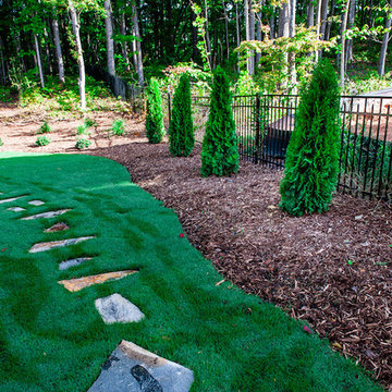Backyard Transformation