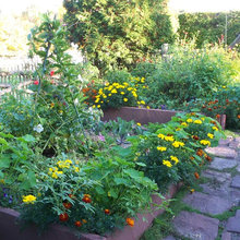 gardens