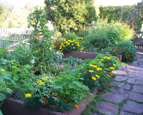 Vegetable Gardens