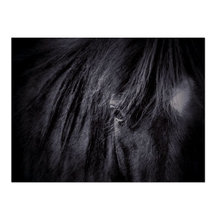 boaz100's ideas