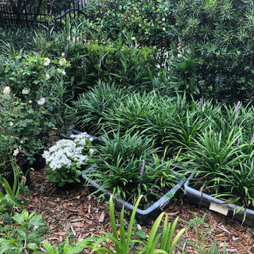 San Marco cottage rehab landscape process