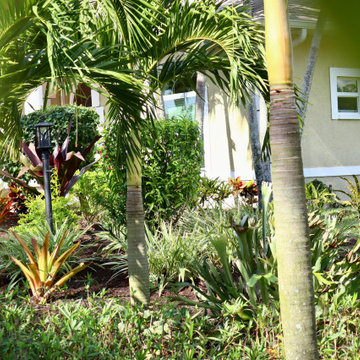 The Decker House - Tropical Design