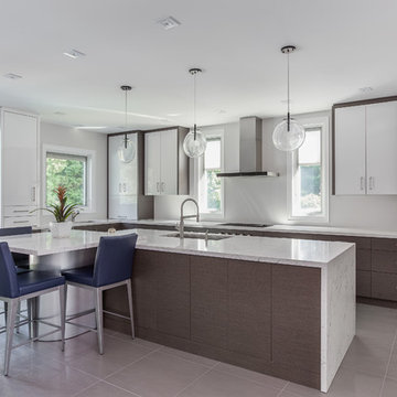 Alta Vista Project