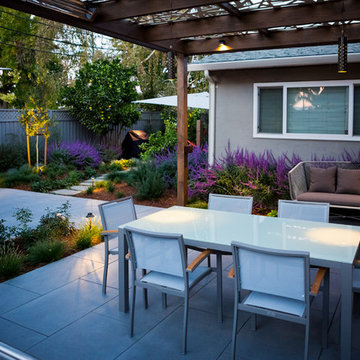 San Jose Modern
