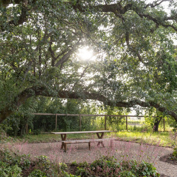 Sonoma Living Pond