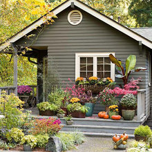 Xeriscape
