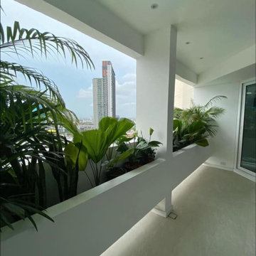 Taiping Renovation
