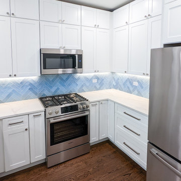 Lincoln Park Kitchen Remodel