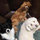 michelle_young5871566