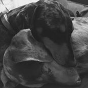 Kelly Thomas's photo