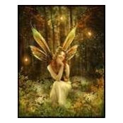 Janice Staggs's photo