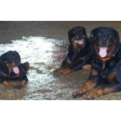 Elizabeth Carr's photo