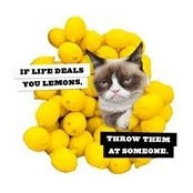 Alissa Neu's photo