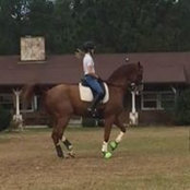 Briana Atwell's photo