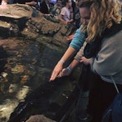 Amy Johnson's photo