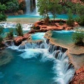 Denise Berry's photo