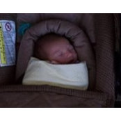Paula Mooney McLeod's photo