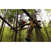 THomas Larouche's photo