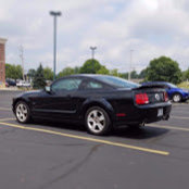 Mike Butler's photo