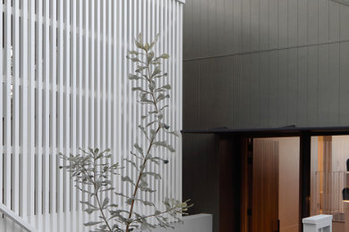 Photo of a contemporary entryway in Brisbane.