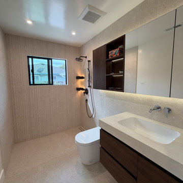 Santa Clara Whole House Remodel