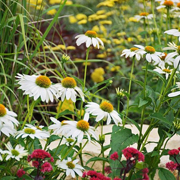 Garden Management