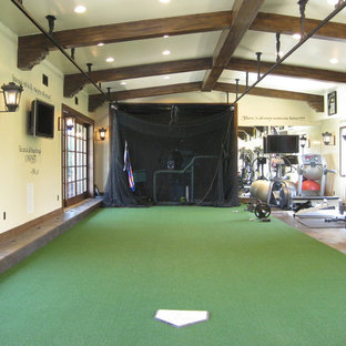 Batting Cage Ideas Photos Houzz