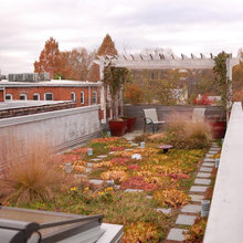 Rooftop Deck
