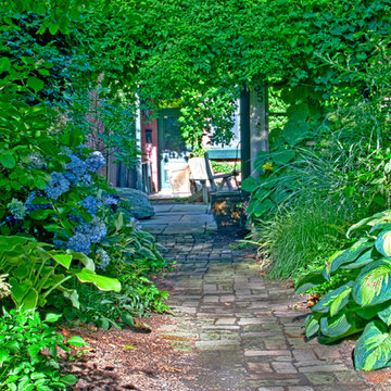 Urban Oasis