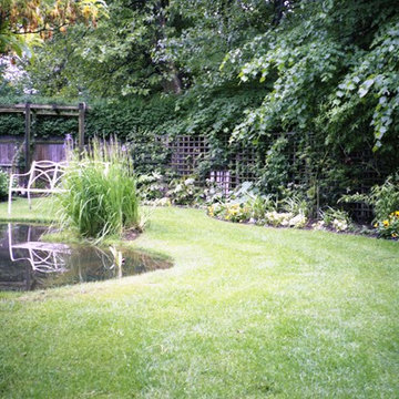Remodelling an established garden