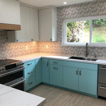 Embrace color- kitchen remodel in San Carlos