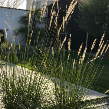 Jardin au Bois-Plage en Ré