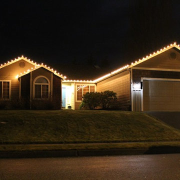 Professional Christmas Light Installation