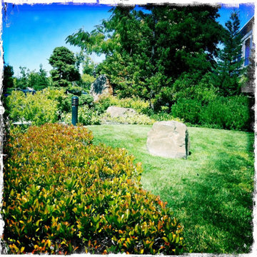 Healing Garden