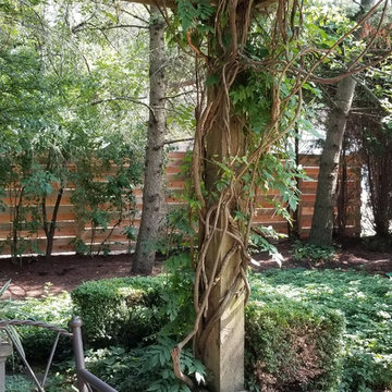 Riverwoods custom cedar fence