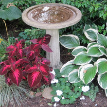fountains