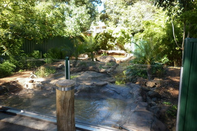 Inspiration for a tropical garden in Brisbane.