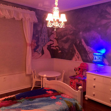 Frozen Mural Bedroom