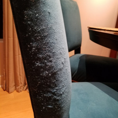 Help Cats Ruined My Chairs