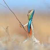 Jay Rayner's photo