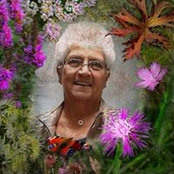 Dorothy Redeker's photo