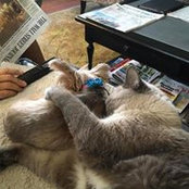 Kathryn Williamson's photo