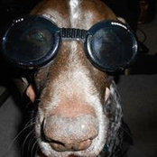 Chuck Comito's photo
